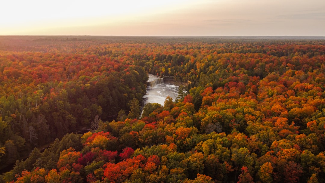 Photo fall colors