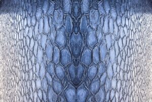 Photo lace bodysuit