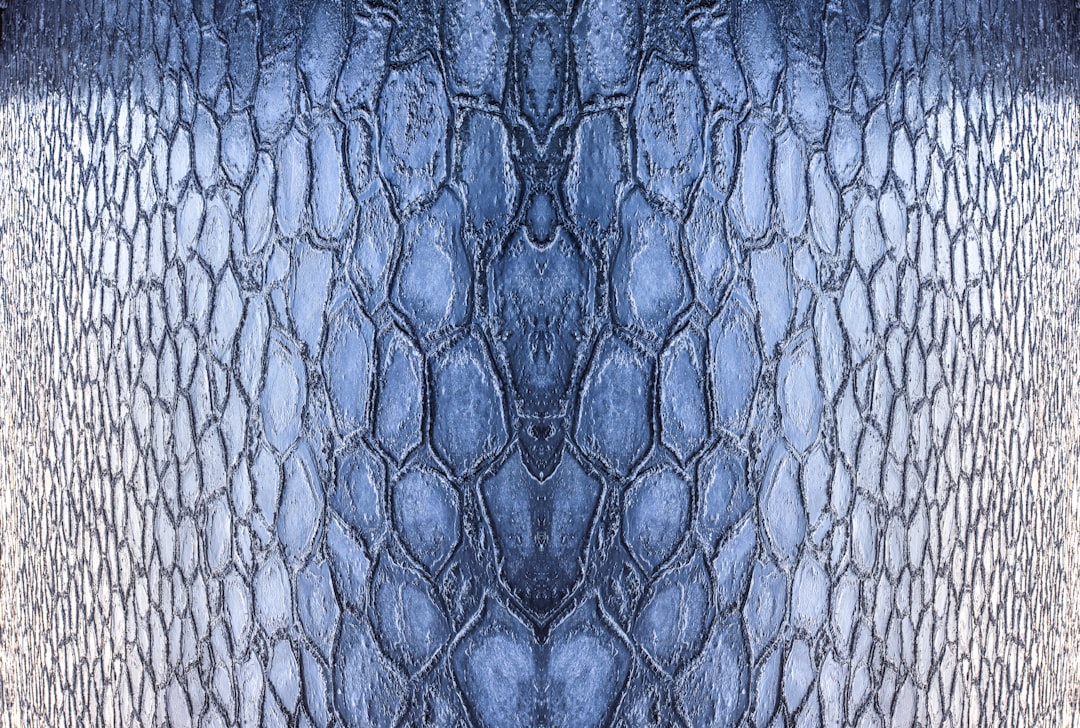 Photo lace bodysuit